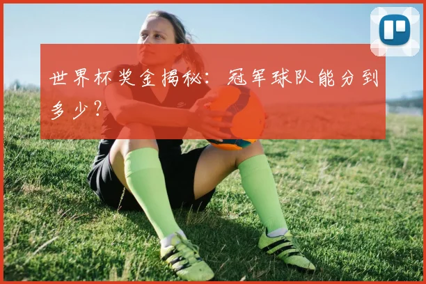 世界杯奖金揭秘：冠军球队能分到多少？