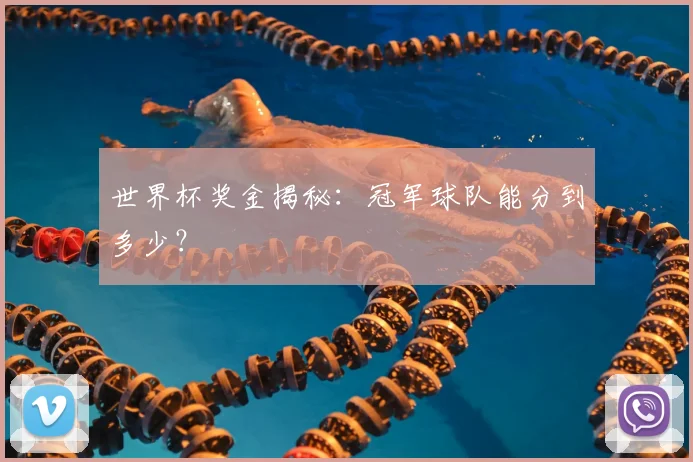 世界杯奖金揭秘：冠军球队能分到多少？